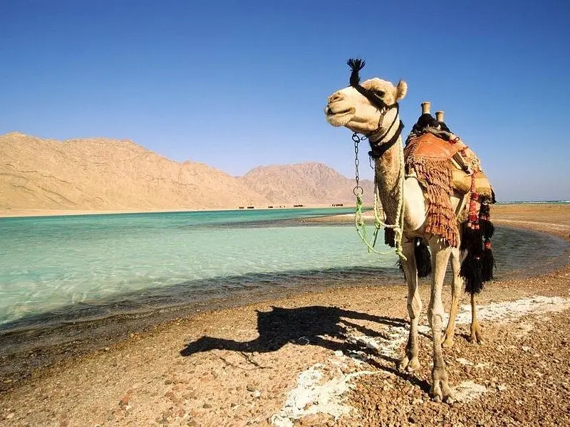 3-Day Dahab Tour: Red Sea Diving & Desert Wonders